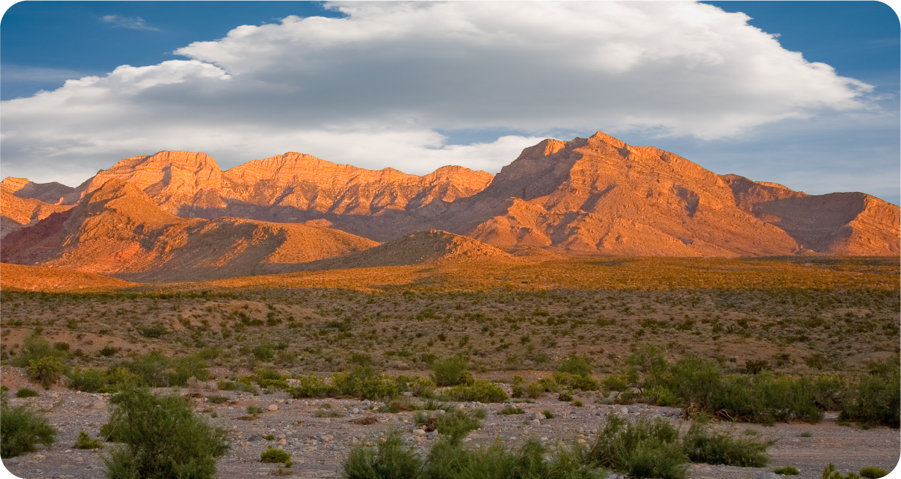 a field with a mountain in the background